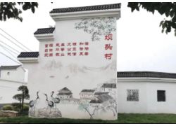 蕪湖市鳩江區(qū)：穿針引線 繡出美麗鄉(xiāng)村新畫(huà)卷