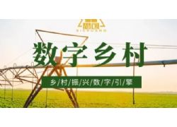 安徽省數(shù)字鄉(xiāng)村試點(diǎn)工作現(xiàn)場推介活動(dòng)（皖南片區(qū)）在蕪湖舉辦