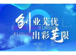 蕪湖市“創(chuàng)業(yè)蕪優(yōu)”大賽開(kāi)賽