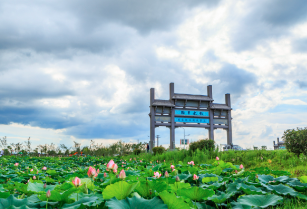蕪湖市灣沚區(qū)出臺10項政策 聚力推動支柱產(chǎn)業(yè)“兩新”