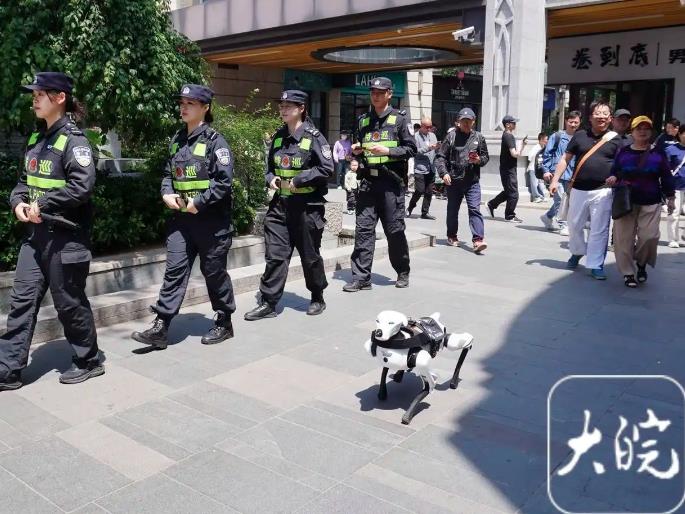 蕪湖：機(jī)器警犬首“上崗”助力“五一”安保